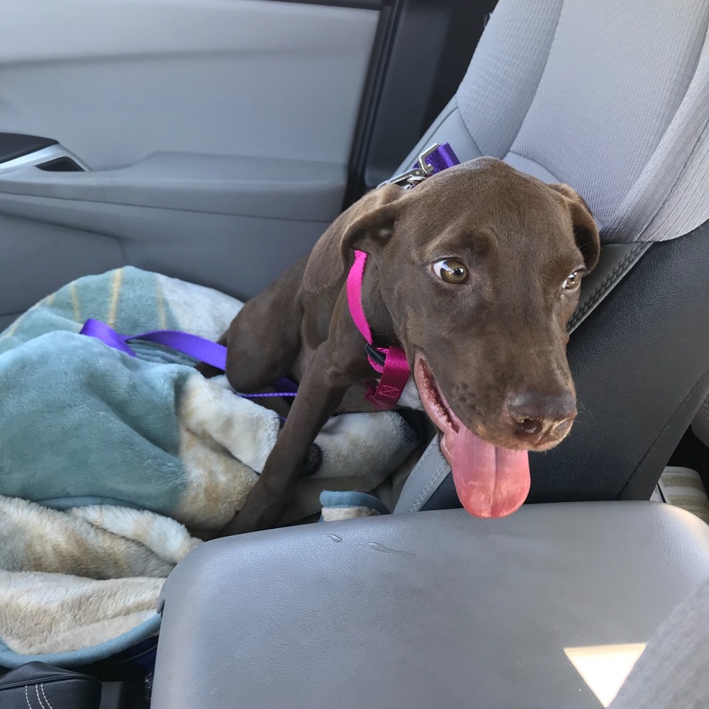 Meet your Posher, Yiru